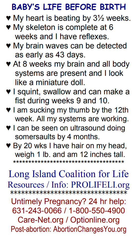 A printed card headed “Baby’s life before birth” listing developmental milestones from three and a half weeks to twenty weeks, followed by Long Island Coalition for Life helpline numbers.